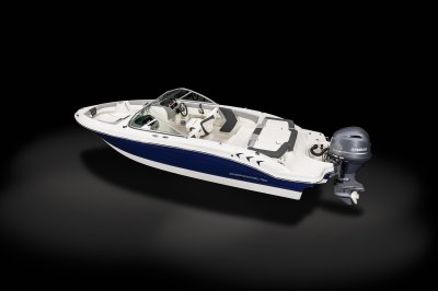 Chaparral 19 SSi OB rear port overhead. 