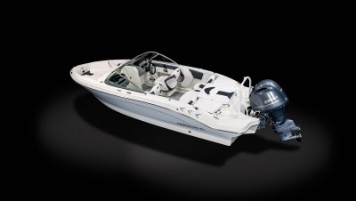 19 SSi Outboard Ski & Fish 