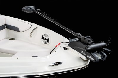 19 SSI Ski & Fish - Trolling Motor 