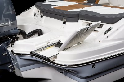 21 SSi Outboard Platform Ladder 