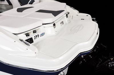 21 SSi Ski & Fish - Swim Platform 