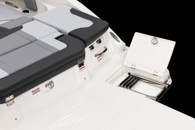 Chaparral 23 SSi swim platform ladder on starboard side 