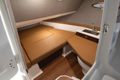 Chaparral 310 OSX cabin. 