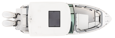 Chaparral 310 OSX overhead with hardtop. 