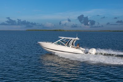 Chaparral 310 OSX port profile view cruising with a shoreline in the background. 