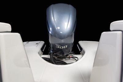 250 Suncoast - Rear Platform 