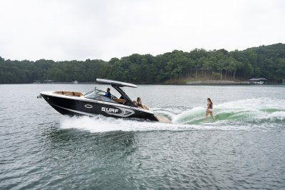 SURF 28 - 2022 Image Shown - 2023 Images Coming Soon 