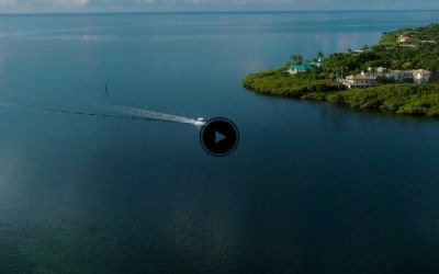 SSX 30 (2026) - Highlight Features